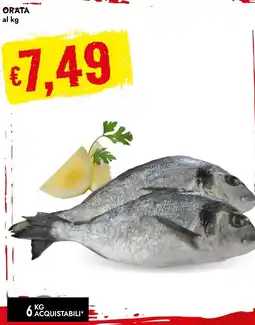 Bennet Orata offerta