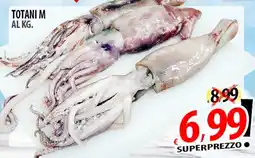 Il Genio Supermercato Totani m offerta