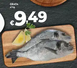 Bennet Orata offerta