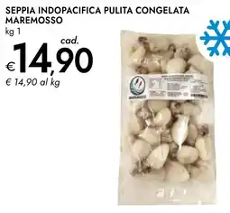 Bennet Seppia indopacifica pulita congelata maremosso offerta