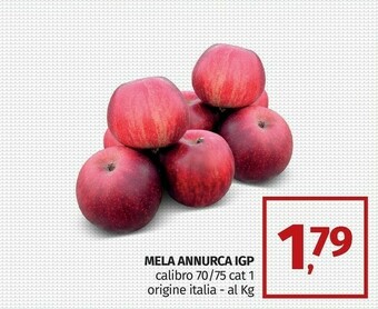 Pam Mela annurca igp offerta