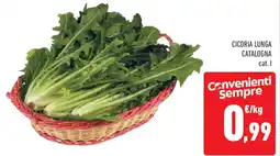 Conad Superstore Cicoria lunga catalogna offerta
