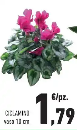 Conad Superstore Ciclamino offerta