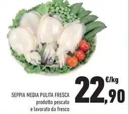 Conad Superstore SEPPIA MEDIA PULITA FRESCA offerta