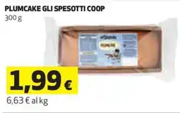 Coop Plumcake gli spesotti coop offerta