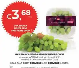 Coop Uva bianca senza semi FIOR FIORE COOP offerta