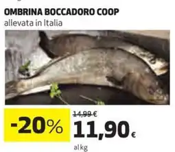 Coop Ombrina boccadoro COOP offerta
