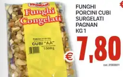 Vivo Supermercati Funghi porcini cubi surgelati PAGNAN offerta