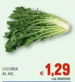 Vivo Supermercati Cicoria offerta