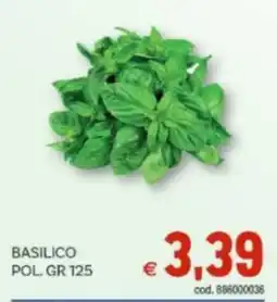 Vivo Supermercati Basilico pol offerta