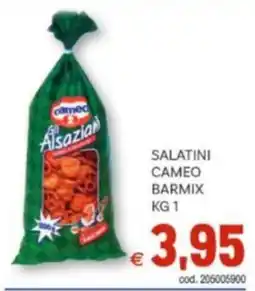 Vivo Supermercati Salatini cameo barmix offerta
