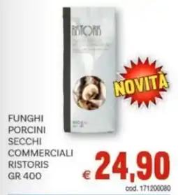 Vivo Supermercati Funghi porcini secchi commerciali RISTORIS offerta