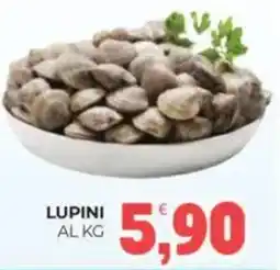 Eté Lupini offerta