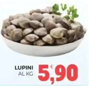 Eté Lupini offerta