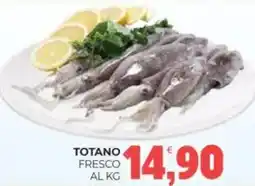 Eté Totano fresco offerta