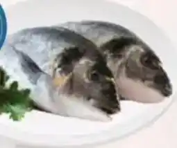 Eté Orata offerta