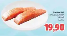Eté Salmone trance extra salar offerta