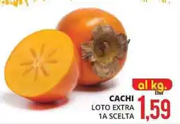 Mazzeo Giocattoli Cachi loto extra 1a scelta offerta