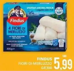 Mazzeo Giocattoli Findus fiori di merluzzo offerta