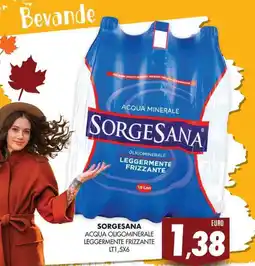 Mazzeo Giocattoli Sorgesana acqua oligominerale leggermente frizzante offerta