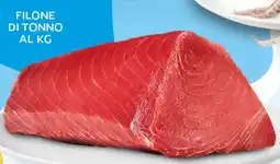 Extra Supermercati Filone di tonno offerta