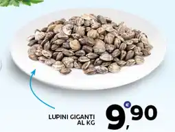Extra Supermercati Lupini giganti offerta