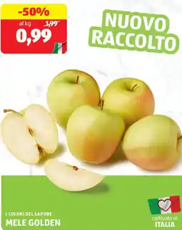 ALDI I colori del sapore mele golden offerta