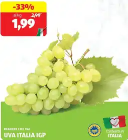 ALDI Regione che vai uva italia IGP offerta