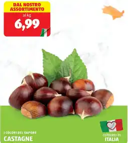 ALDI I colori del sapore castagne offerta