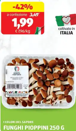 ALDI I colori del sapore funghi pioppini offerta
