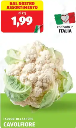 ALDI I colori del sapore cavolfiore offerta