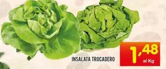 Centro Commerciale Discount Insalata trocadero offerta
