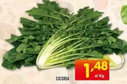 Centro Commerciale Discount Cicoria offerta