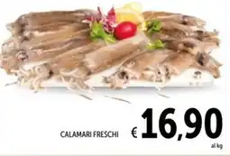 Spazio Conad Calamari freschi offerta