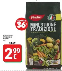 Supermercati Gulliver Minestrone tradizione FINDUS offerta