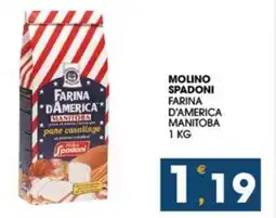 SeBón Supermercati Molino spadoni farina d'america manitoba offerta