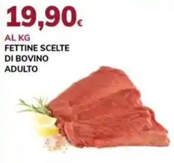 Basko Fettine scelte di bovino adulto offerta