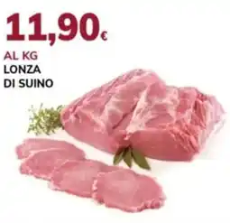 Basko Lonza di suino offerta