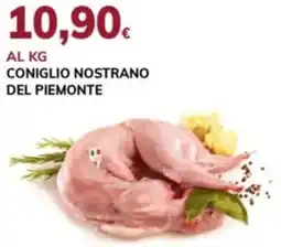 Basko Coniglio nostrano del piemonte offerta