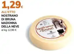 Basko Nostrano di bruna madonna della neve offerta