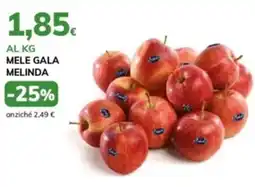 Basko Mele gala MELINDA offerta