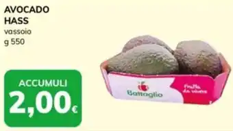 Basko Avocado hass offerta