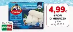 Basko 4 fiori di merluzzo FINDUS offerta