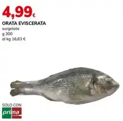 Basko Orata eviscerata offerta