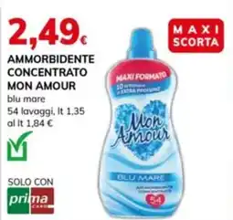 Basko Ammorbidente concentrato MON AMOUR offerta