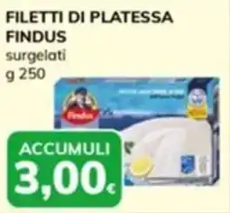 Basko Filetti di platessa FINDUS offerta