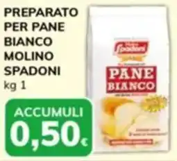 Basko Preparato per pane bianco molino SPADONI offerta