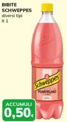 Basko Bibite SCHWEPPES offerta