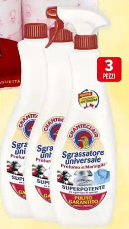 Iperal Sgrassatore universale CHANTECLAIR offerta