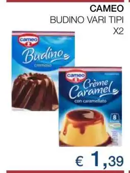 Coop CAMEO BUDINO VARI TIPI X2 offerta